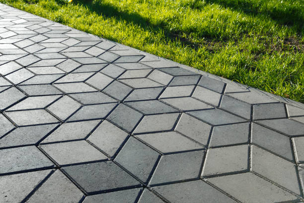 Best Professional Driveway Pavers  in Camp Swift, TX